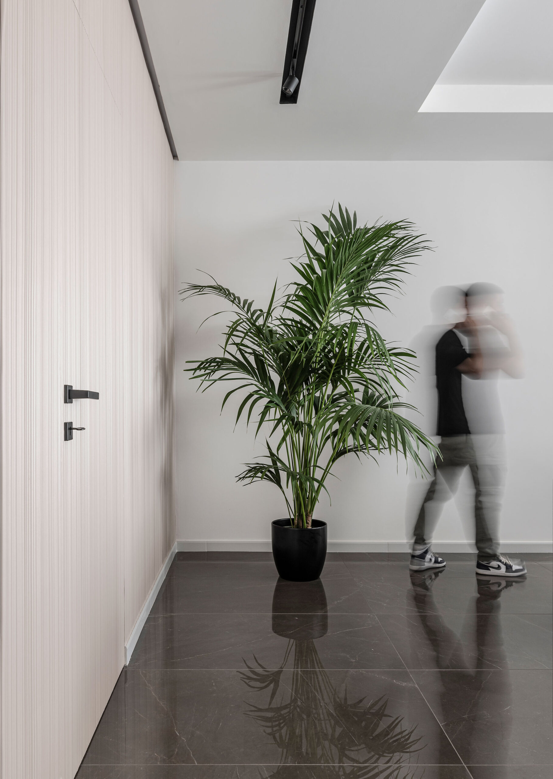 Roots' Apartment — view 7